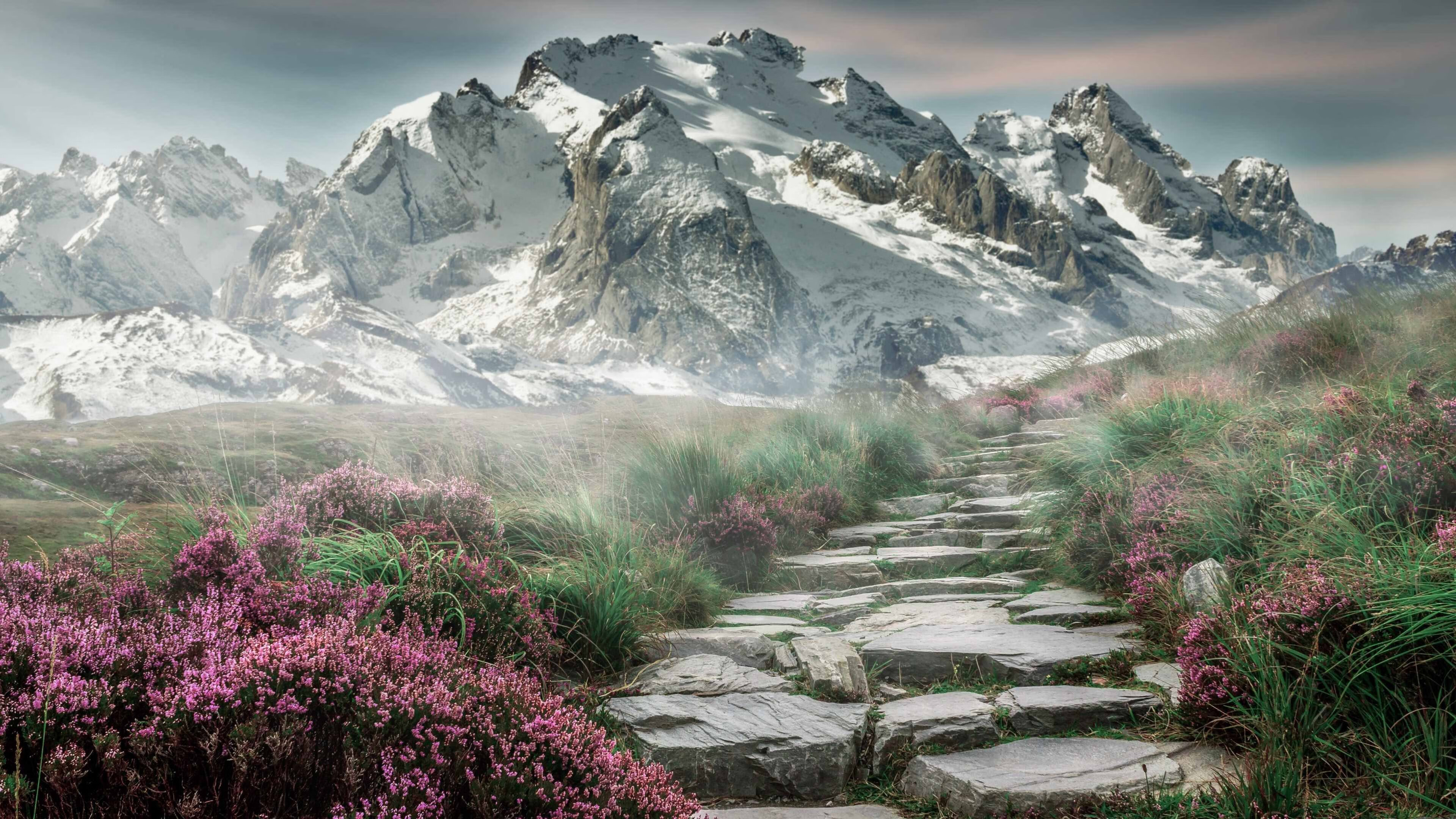 开云登录通道-v7.2.5 优化版正式发布，2026年2月3日，开启效率与稳定新纪元